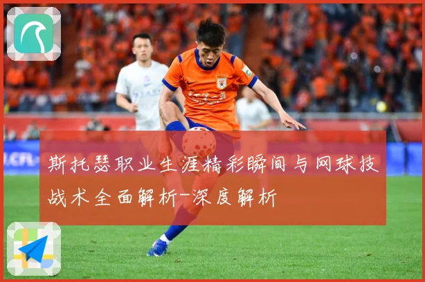 斯托瑟职业生涯精彩瞬间与网球技战术全面解析-深度解析